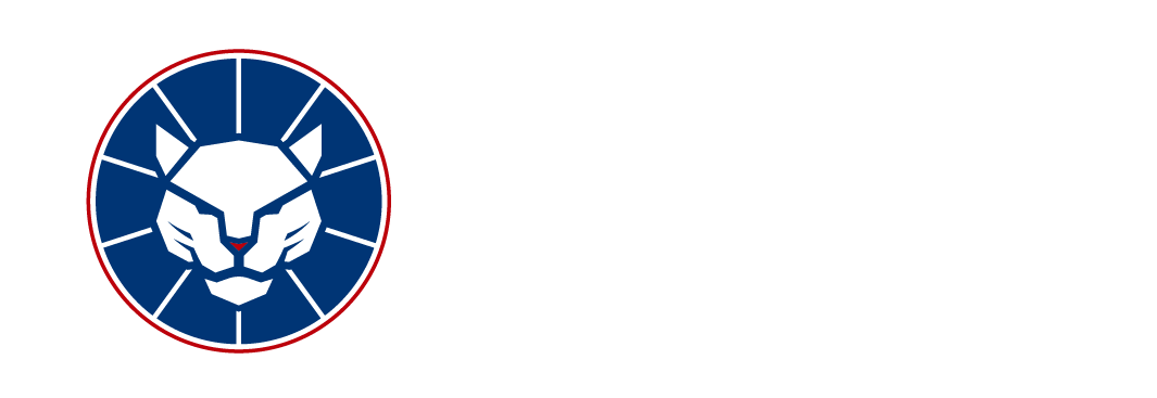 Panther Minerals